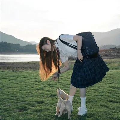 招积老虎